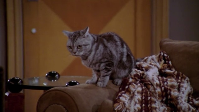 Frasier - The Placeholder - Mr. Bottomsley cat on couch arm