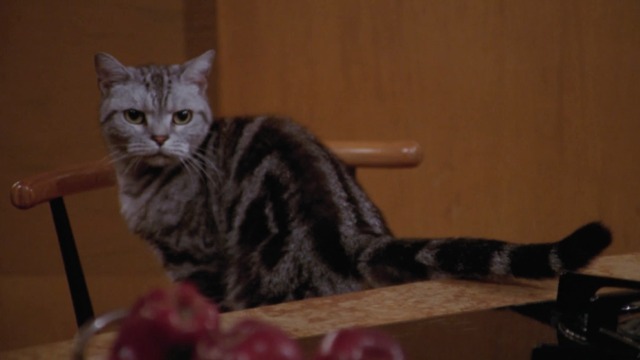 Frasier - The Placeholder - Mr. Bottomsley cat waits for tuna