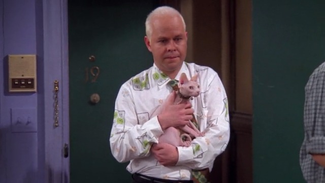 Friends - The One With the Ball - Gunther James Michael Tyler with Sphynx cat Mrs. Whiskerson