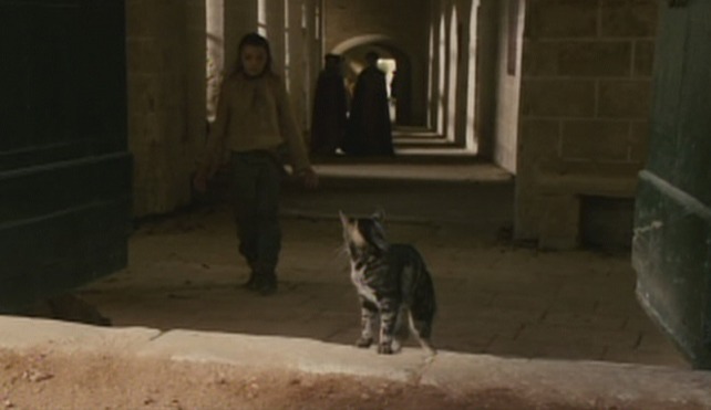 Game of Thrones - The Wolf and the Lion Arya approaches tabby cat