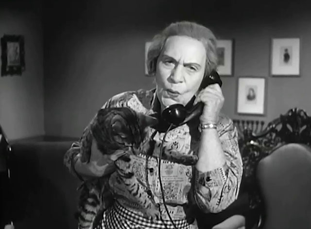 The Goldbergs - Sammy Gets Married - Aunt Tante Elka on phone holding tabby cat