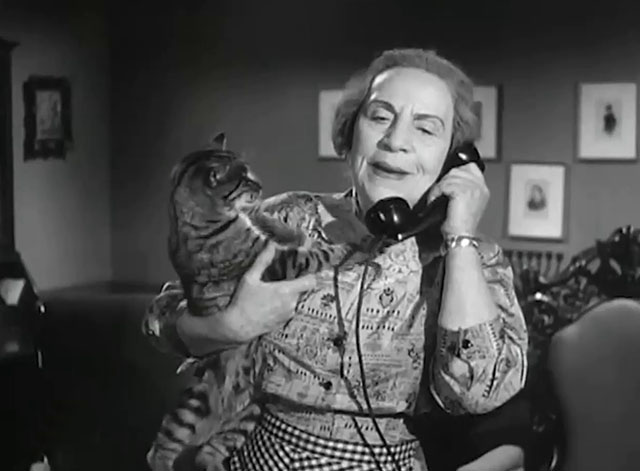 The Goldbergs - Sammy Gets Married - Aunt Tante Elka on phone holding tabby cat