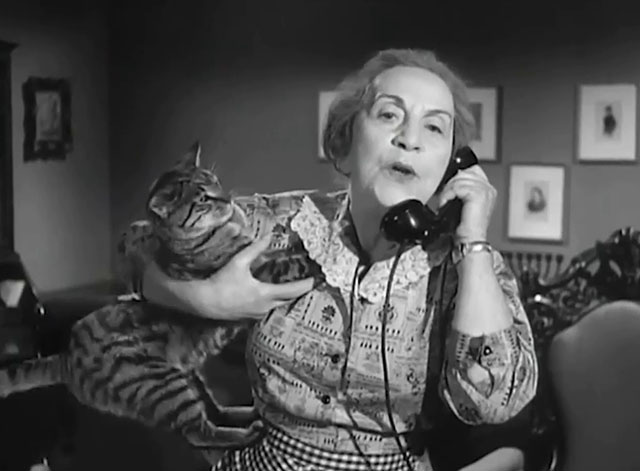 The Goldbergs - Sammy Gets Married - Aunt Tante Elka on phone holding tabby cat