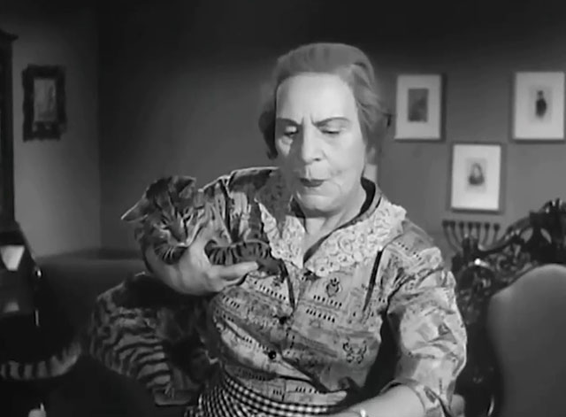 The Goldbergs - Sammy Gets Married - Aunt Tante Elka on phone holding tabby cat