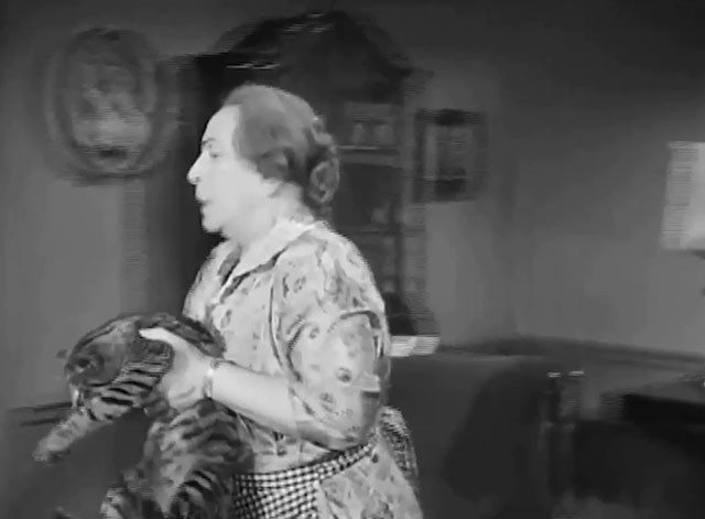 The Goldbergs - Sammy Gets Married - Aunt Tante Elka walking to door carrying tabby cat