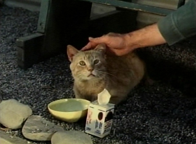 Gomer Pyle - Cat Overboard