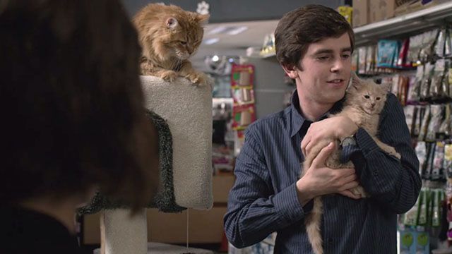 The Good Doctor - Hubert - Dr. Shaun Murphy Freddie Highmore holding ginger tabby kitten with longhair ginger tabby cat