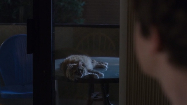 The Good Doctor - Oliver - Dr. Shaun Murphy looking through glass doors at long haired cat lying on patio table