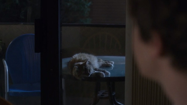 The Good Doctor - Oliver - Dr. Shaun Murphy looking through glass doors at long haired cat lying on patio table