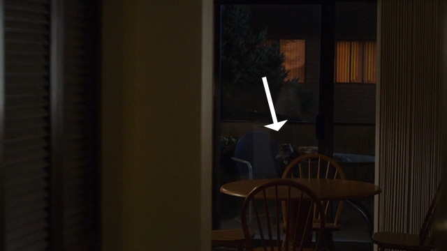 The Good Doctor - Oliver - long haired cat lying on patio table in background