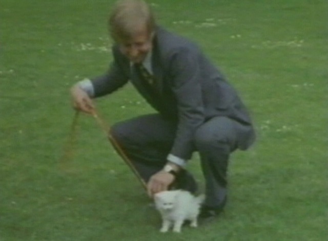 The Goodies - Kitten Kong