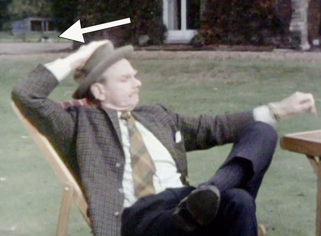 The Goodies - Women's Lib - Charles Allan Cuthbertson in lawn chair with tuxedo cat walking in background