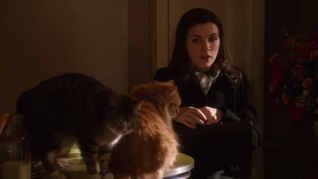 The Good Wife - Pilot - Alicia Julianna Margulies looking at long haired ginger and tabby cats on table