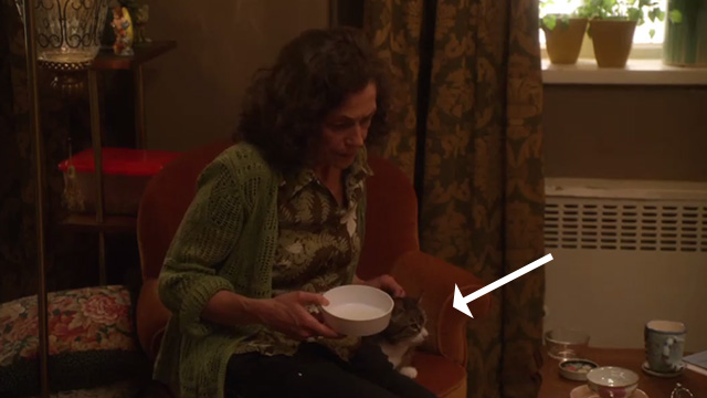 The Good Wife - Pilot - Mrs. Duretsky Karin Konoval sitting in chair with tabby and white cat