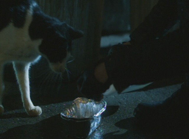 Gotham - Selina Kyle Cat Woman feeding stray