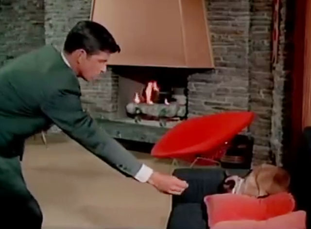 The Green Hornet - Progammed for Death - Britt Reid Van Williams holding transmitter towards Siamese cat on couch