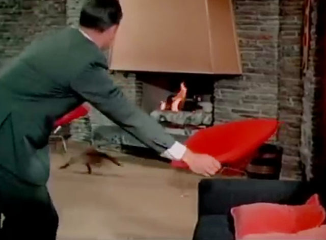 The Green Hornet - Progammed for Death - Britt Reid Van Williams holding transmitter as Siamese cat runs away from couch