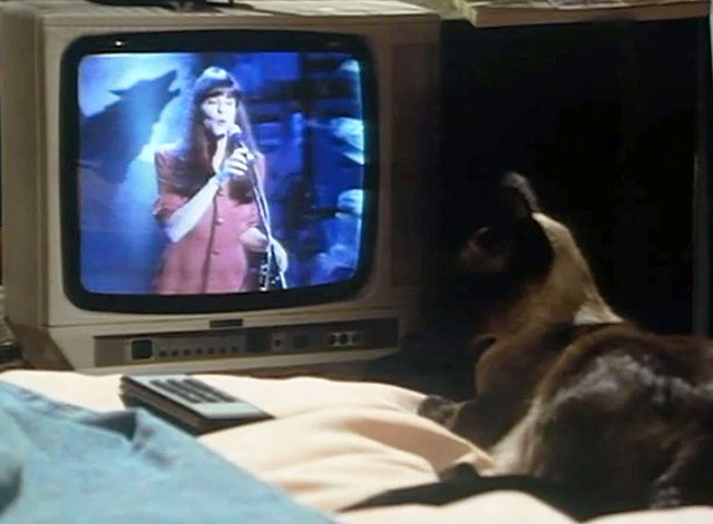 The Green Man - Part One - Siamese cat on bed watching television