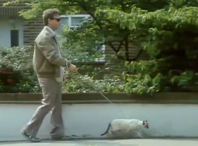Hale & Pace - Episode 2.3 - blind Norman Pace being lead by Siamese guide cat down street