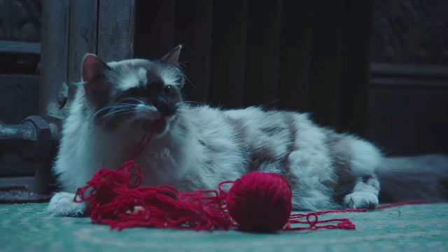 Happy! - Destroyer of Worlds - longhair multicolor cat chewing on ball of yarn