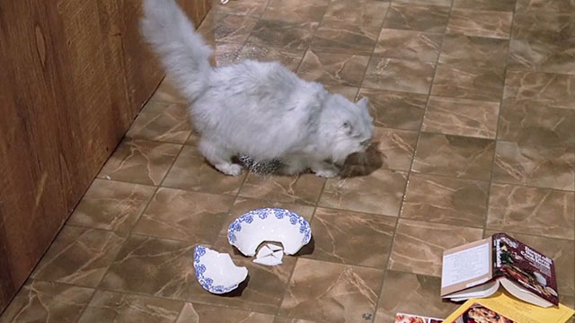 Hart to Hart - With This Hart, I Thee Wed - silver Persian cat on kitchen floor with broken dish
