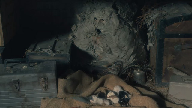 The Haunting of Hill House - Open Casket - newborn kittens on burlap sack in shed with scary face behind