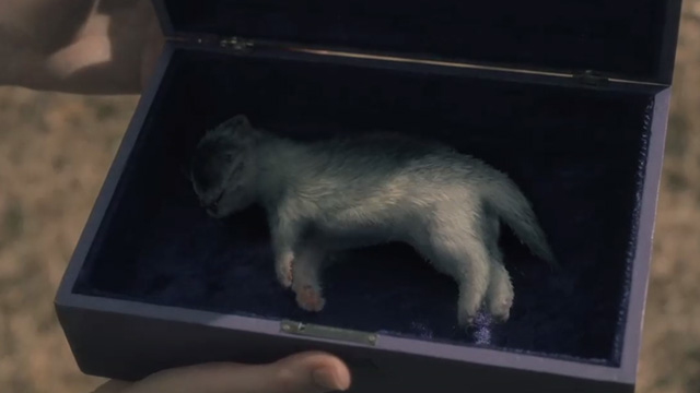 The Haunting of Hill House - Open Casket - dead newborn kitten in box