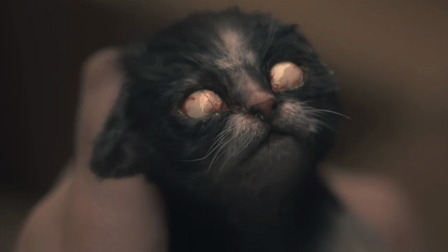 The Haunting of Hill House - Open Casket - newborn kitten with white milky eyeballs