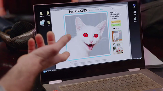 Hawaii Five-0 - He kama na ka pueo - Mr. Pickles cat with scary red eyes in internet ad