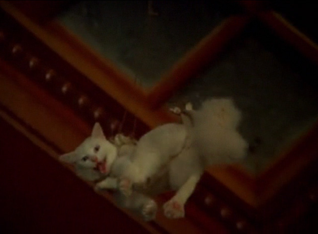 Hawaii Five-0 - King Kamehameha's Blues - white cat Sam meowing while being lowered through skylight in harness