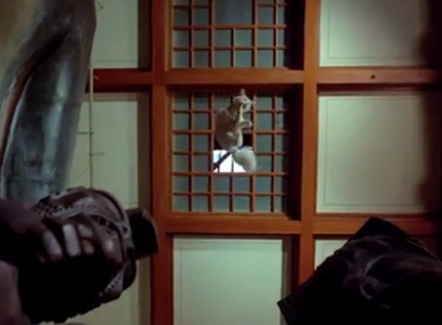 Hawaii Five-0 - King Kamehameha's Blues - white cat Sam being lowered through skylight in harness filmed from below