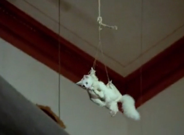 Hawaii Five-0 - King Kamehameha's Blues - white cat Sam being lowered by rope in harness