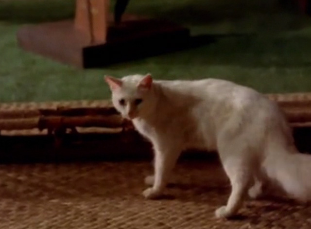 Hawaii Five-0 - King Kamehameha's Blues - white cat Sam on museum floor
