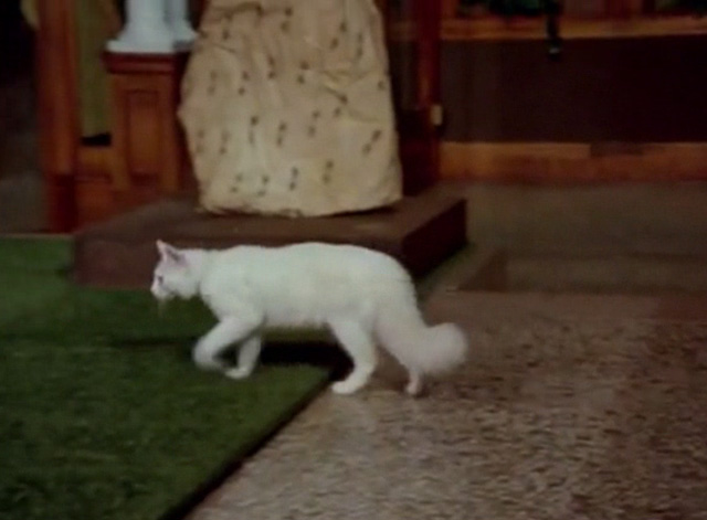 Hawaii Five-0 - King Kamehameha's Blues - white cat Sam stepping into museum exhibit