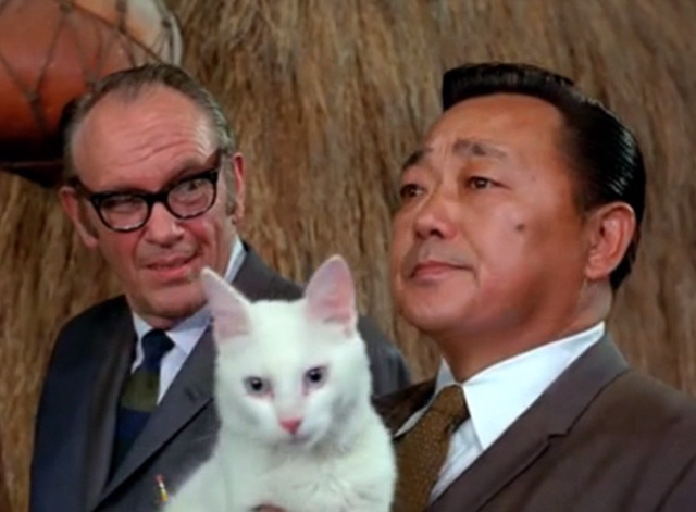 Hawaii Five-0 - King Kamehameha's Blues - Chin Ho Kam Fong holding white cat Sam