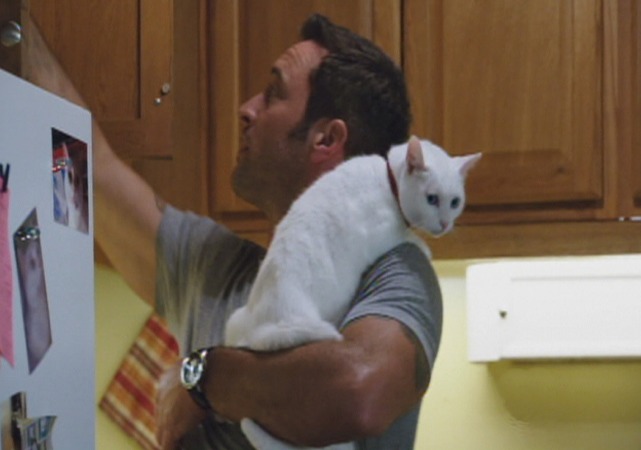 Hawaii Five-0 - Kuka'awale - McGarrett holding Mr. Pickles cat