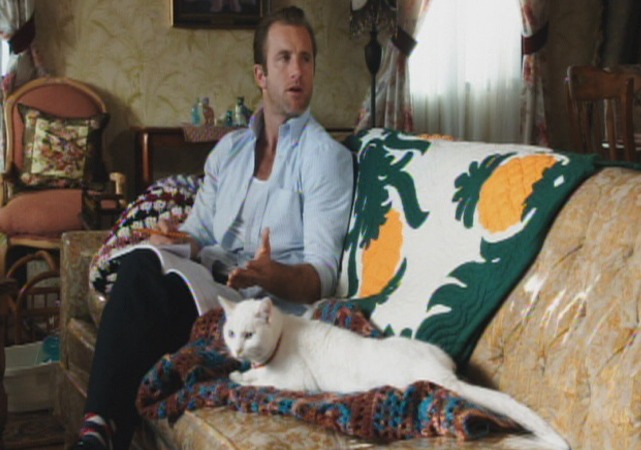 Hawaii Five-0 - Kuka'awale - Mr. Pickles cat on couch with Danno