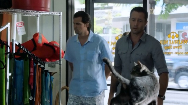 Hawaii Five-0 - Piko Pau'ioli - gray cat inside pawn shop