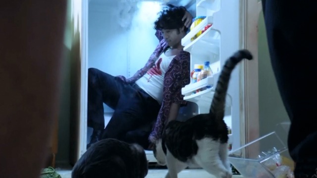 Hawaii Five-0 - Piko Pau'ioli - cats eating food off floor in kitchen with man in refrigerator