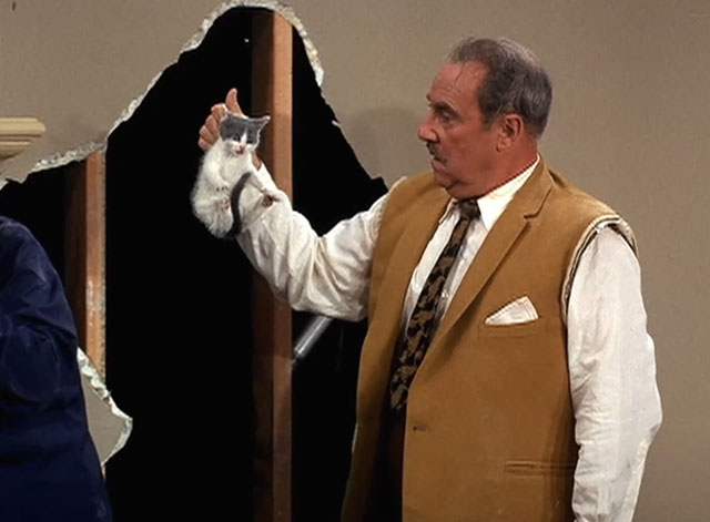 Here's Lucy - Lucy the Fixer - Harry Gale Gordon holding grey and white kitten by scruff