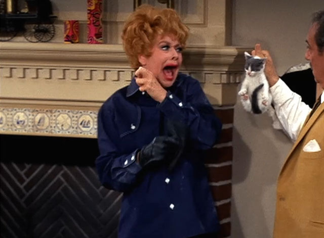 Here's Lucy - Lucy the Fixer - Lucille Ball screaming at Harry Gale Gordon holding grey and white kitten by scruff