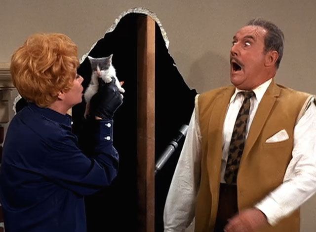 Here's Lucy - Lucy the Fixer - Lucille Ball holding grey and white kitten as Harry Gale Gordon explodes