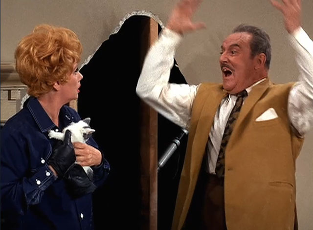 Here's Lucy - Lucy the Fixer - Lucille Ball holding grey and white kitten as Harry Gale Gordon explodes