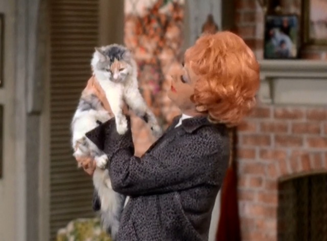 Here's Lucy - Lucy is N.G. as an R.N. - Lucille Ball holding up calico cat Harry