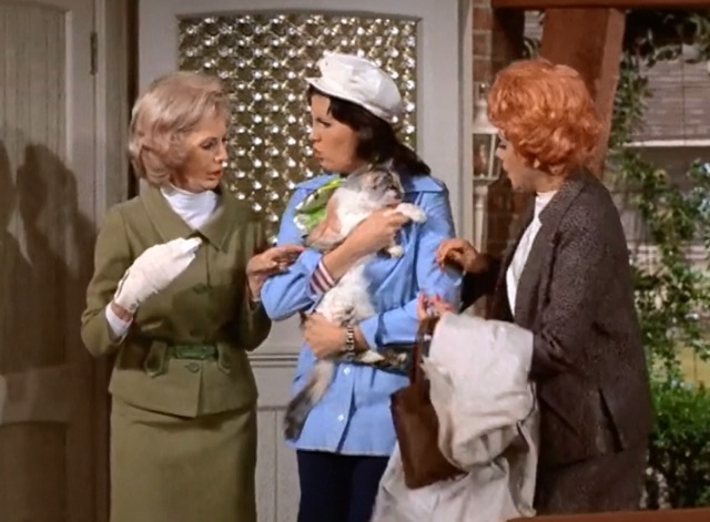 Here's Lucy - Lucy is N.G. as an R.N. - Mary Jane Croft, Lucille Ball and Lucie Arnaz with calico cat Harry