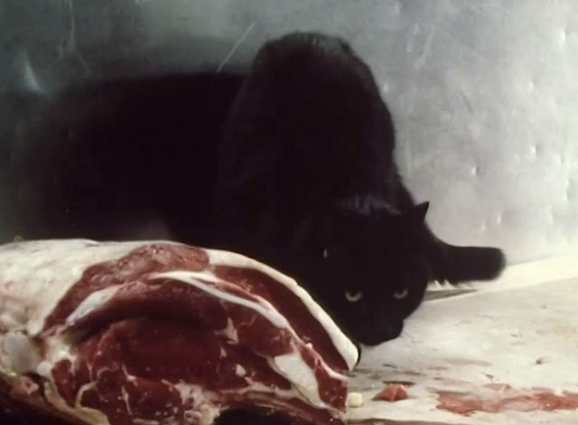 Hetty Wainthropp Investigates - black cat in butcher shop