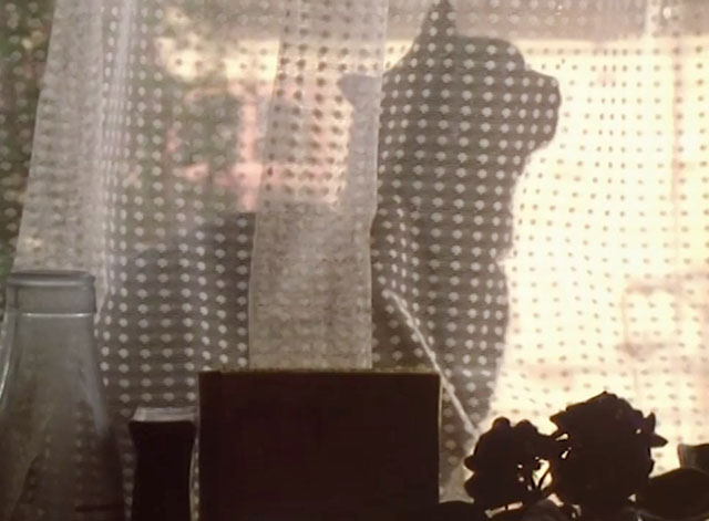 Hetty Wainthropp Investigates - black cat behind curtains on windowsill