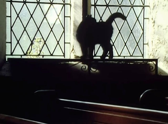 Hetty Wainthropp Investigates - black cat in church window