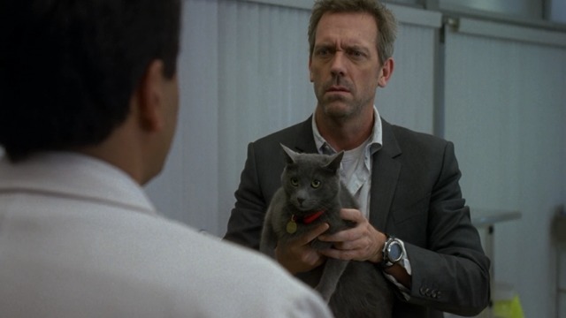 House M.D. - Here Kitty - Hugh Laurie House holding gray shorthaired cat Debbie in coma room