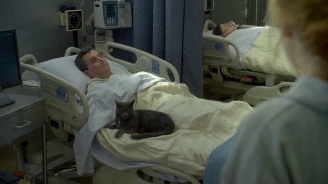 House M.D. - Here Kitty - Morgan looking at gray shorthaired cat Debbie in coma room